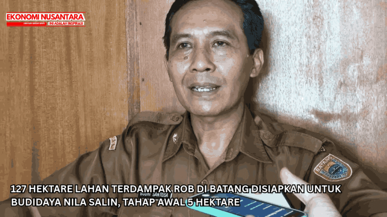 127 Hektare Lahan Terdampak Rob di Batang Disiapkan untuk Budidaya Nila Salin, Tahap Awal 5 Hektare